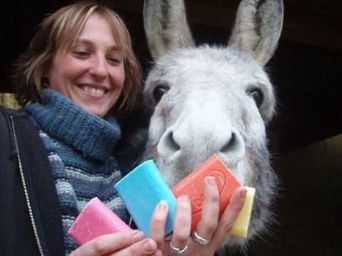 Image de diapositive